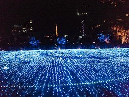 イルミネーション2010.jpg