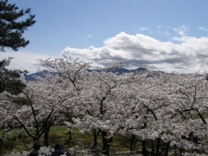 岩手公園2011.0.JPG