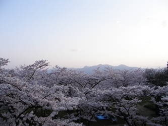綺麗.JPG