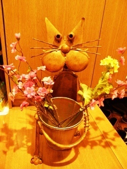 猫.JPG