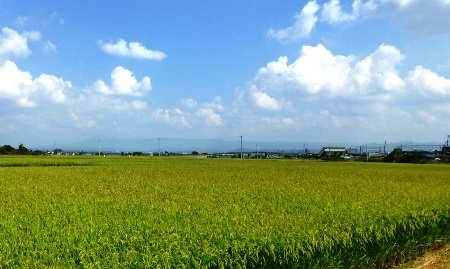 田園9.11.JPG
