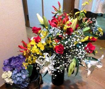 hana2013.7.jpg