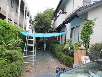 シート１.JPG