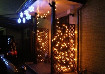 イルミ2011.2.JPG