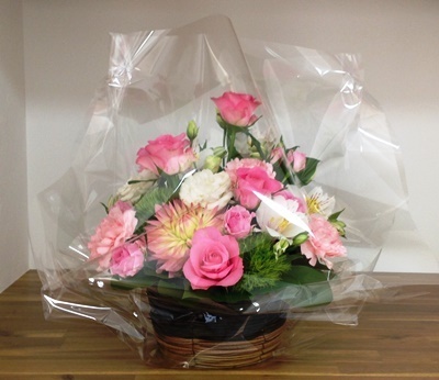2015.4.18.jpg