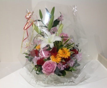 hikiwatashi2013.12.13.jpg