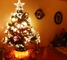 イルミ2011.4.JPG