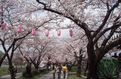 展勝地.JPG