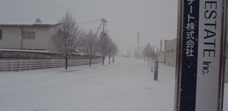 PC080011.JPG