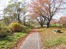 散歩道00.JPG