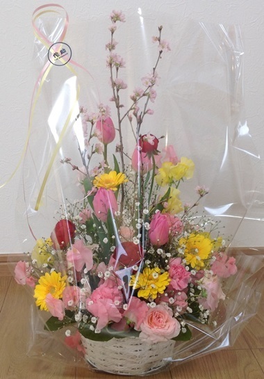 2015.1.26.1.jpg