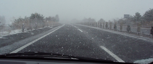 東北道.JPG