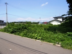 ジャンぐる.JPG