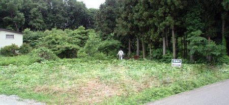 完璧でしょ.jpg