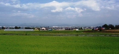 村　田園.JPG