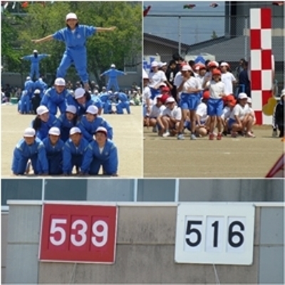 2015.5.23.0.jpg