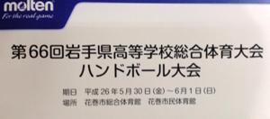高総体2014.5.jpg