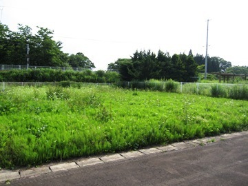 草前.JPG