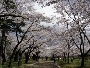 岩手公園2011.1.JPG