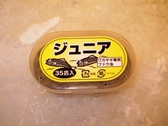 ブドウ.JPG