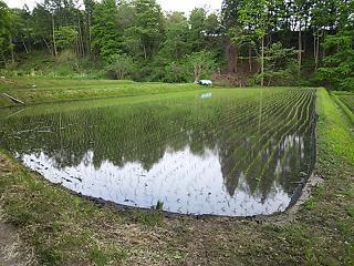 DSC_0176.JPG
