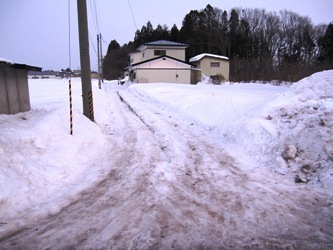 和賀雪.JPG