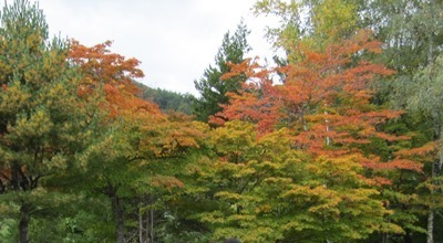 2015.10.14.jpg