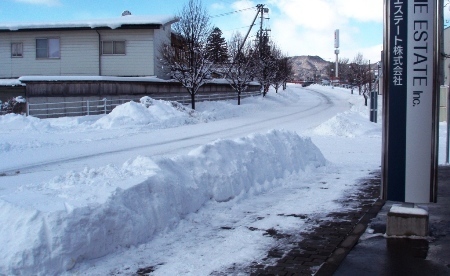 雪だ.JPG