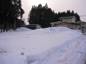 和賀雪2.JPG